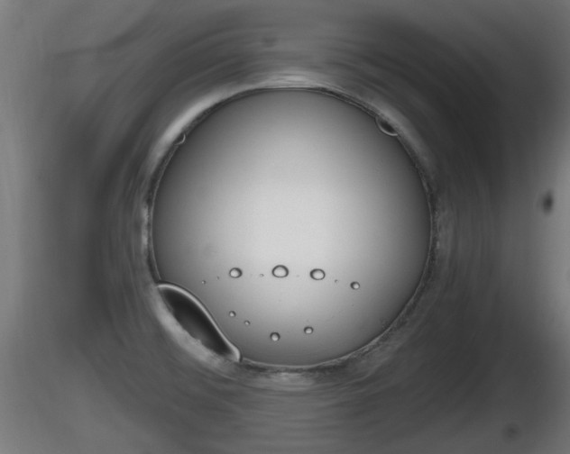X0000116831476200912241216