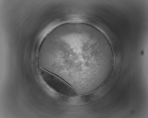 X0000116831477200912241216