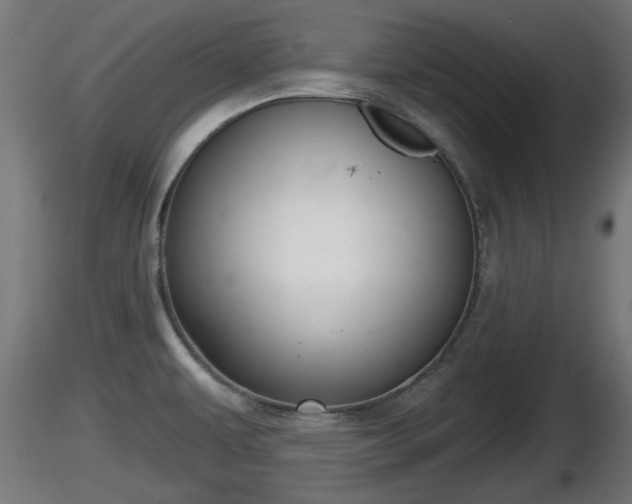 X0000116831479200912241216