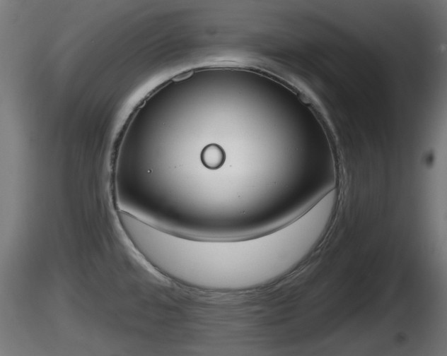 X0000116831480200912241216