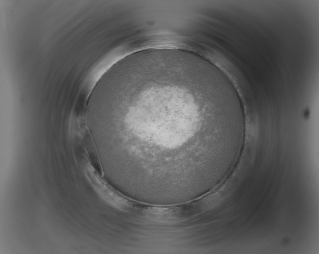 X0000116831481200912241216