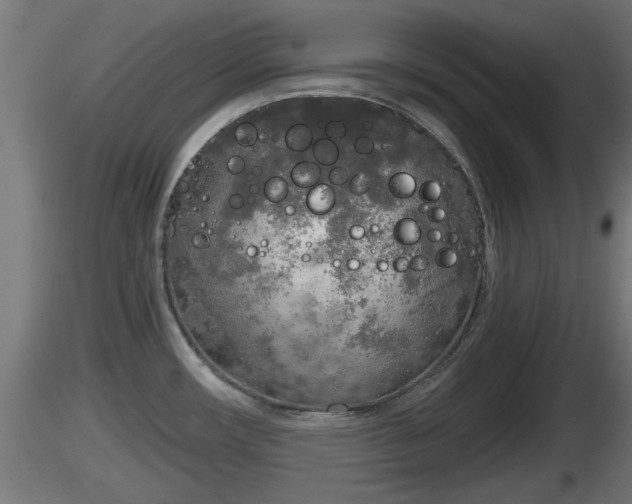 X0000116831482200912241216