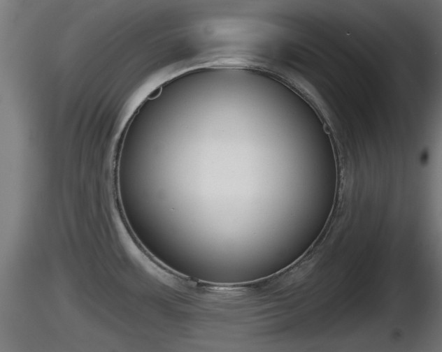 X0000116831483200912241216