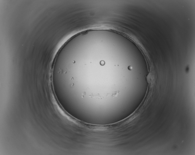 X0000116831484200912241216