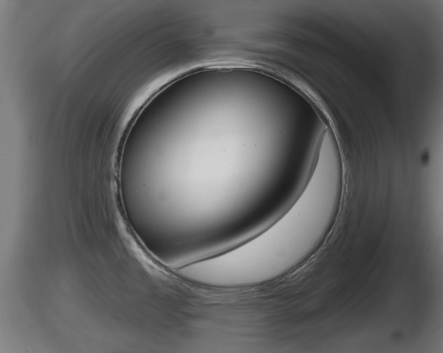 X0000116831485200912241216