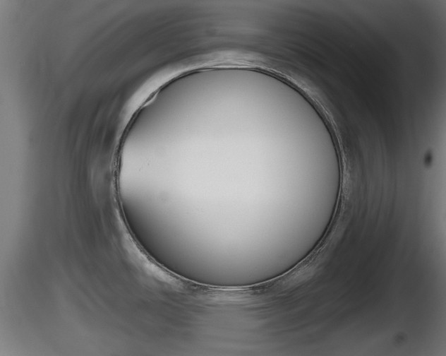X0000116831486200912241216