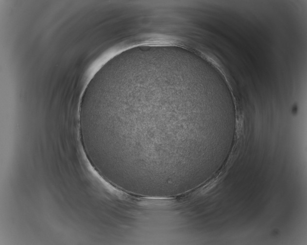 X0000116831487200912241216