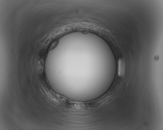 X0000116831491200912241215