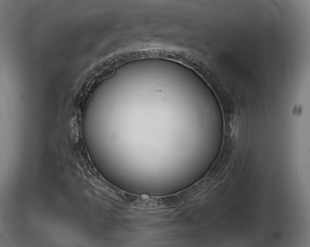 X0000116831493200912241215
