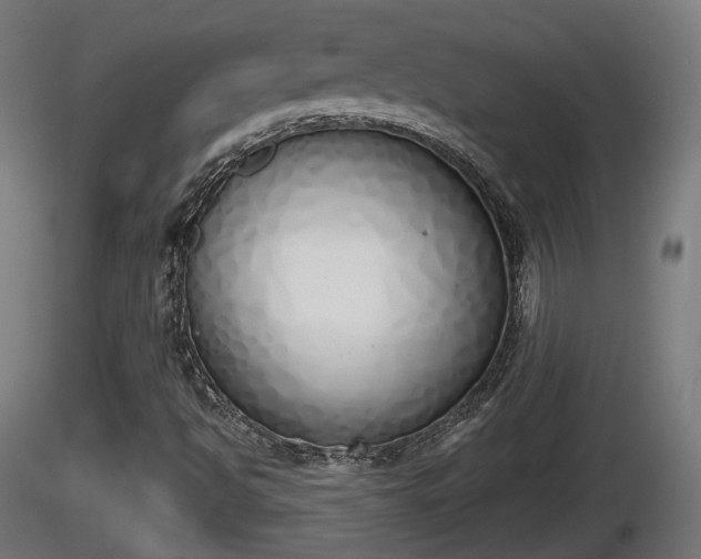 X0000116831494200912241215