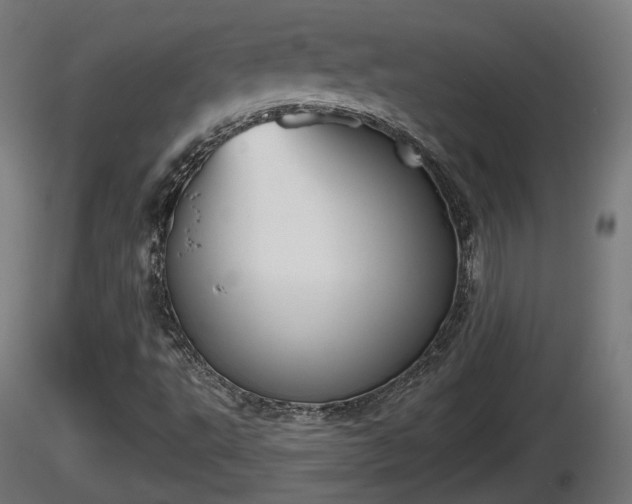 X0000116831495200912241215
