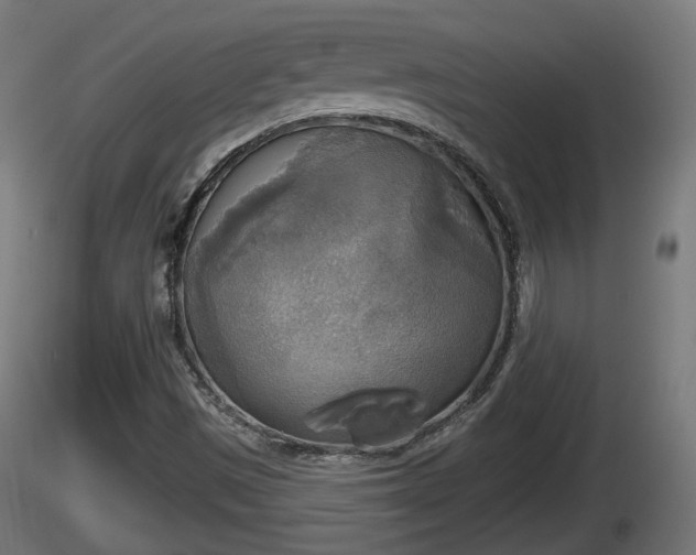 X0000116831497200912241215