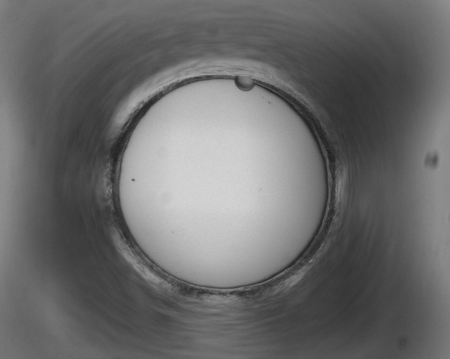 X0000116831498200912241215