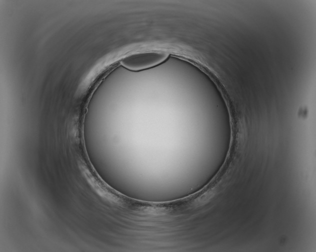 X0000116831499200912241215
