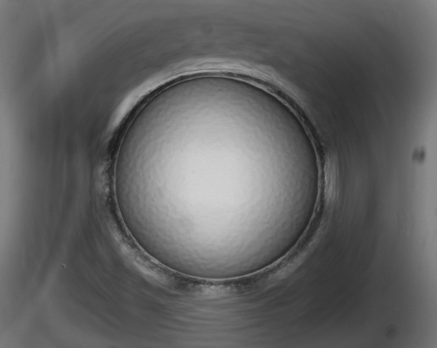 X0000116831501200912241216