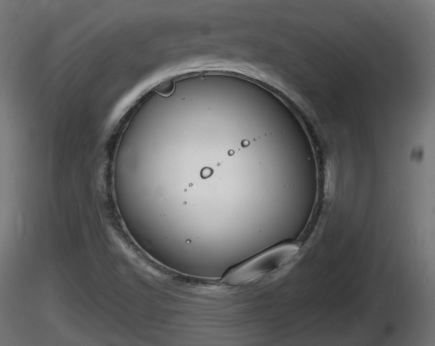 X0000116831502200912241216