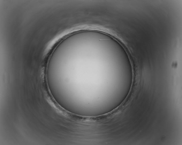 X0000116831503200912241216