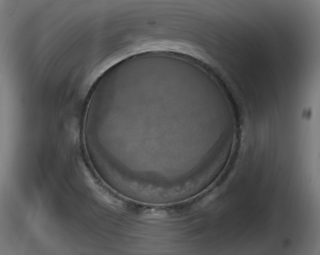 X0000116831505200912241216
