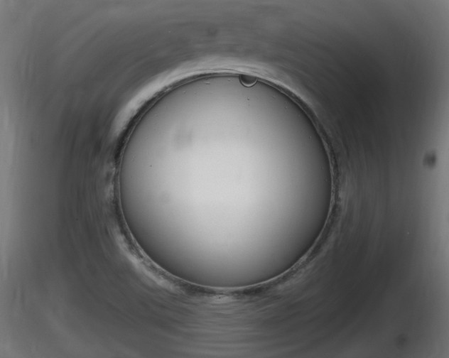 X0000116831507200912241216