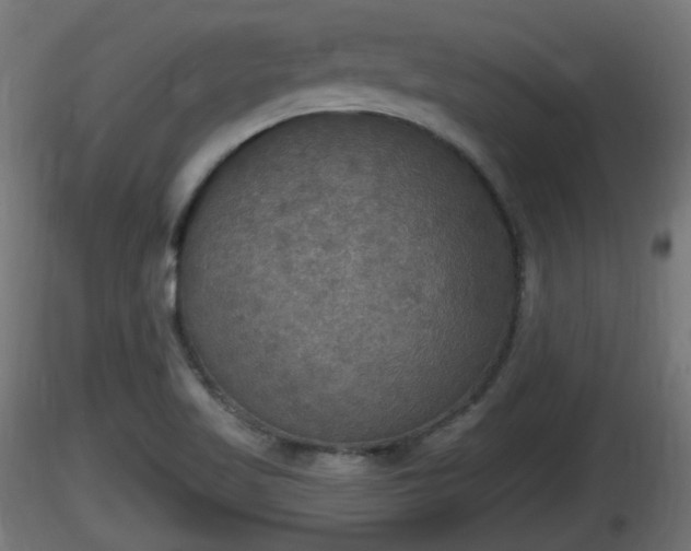X0000116831509200912241216