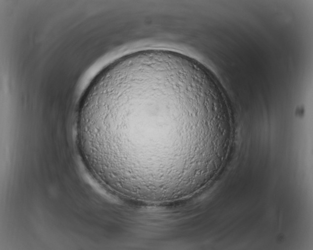 X0000116831511200912241216