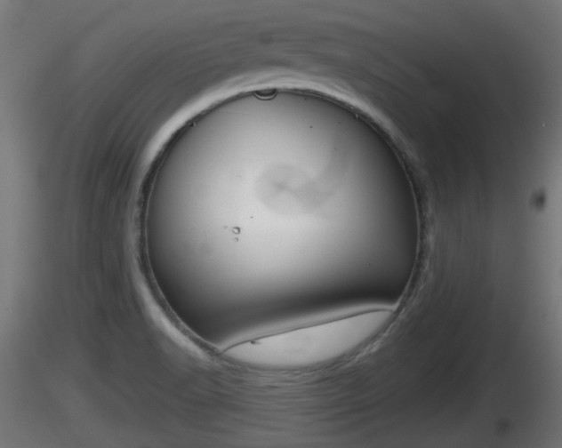 X0000116831518200912241216