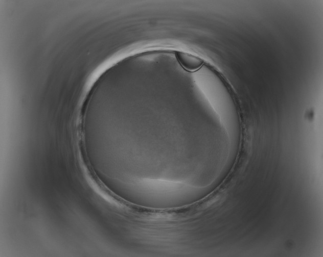 X0000116831519200912241216