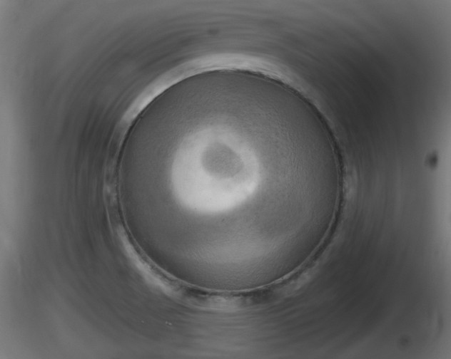 X0000116831521200912241216