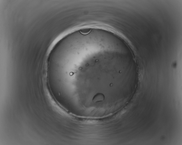 X0000116831522200912241216