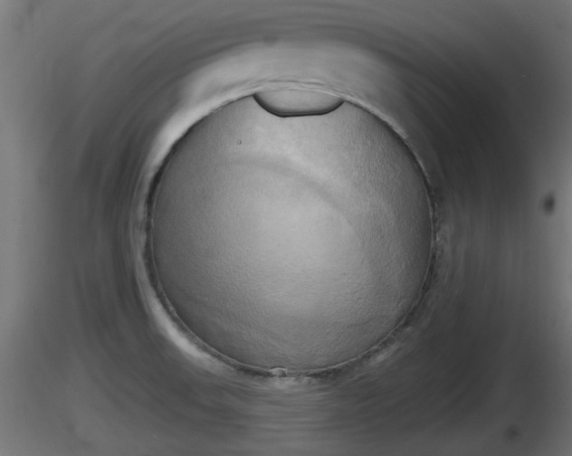 X0000116831523200912241216