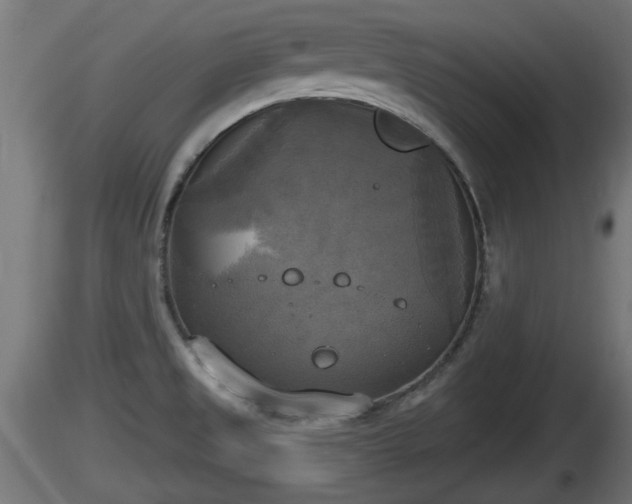 X0000116831525200912241216