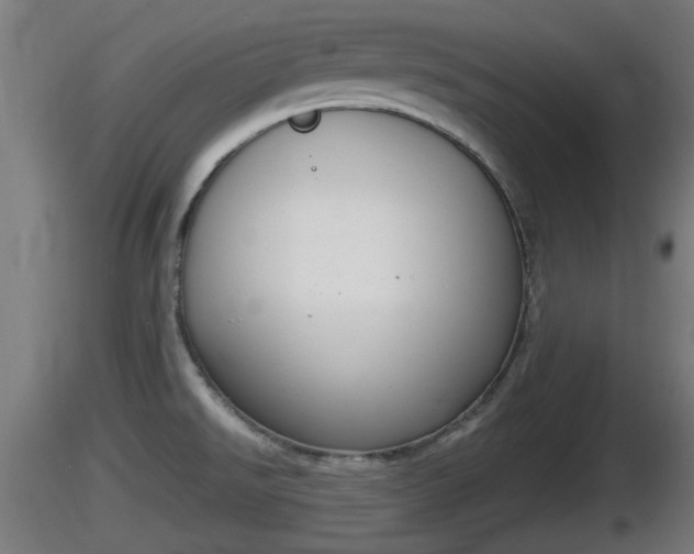 X0000116831526200912241216