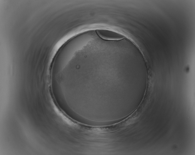 X0000116831527200912241216