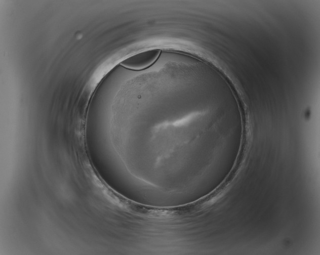 X0000116831529200912241216