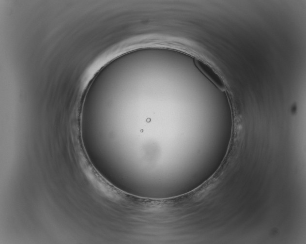 X0000116831530200912241216