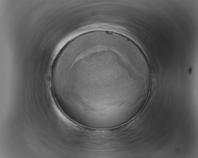 X0000116831531200912241216