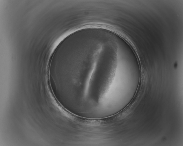 X0000116831533200912241216