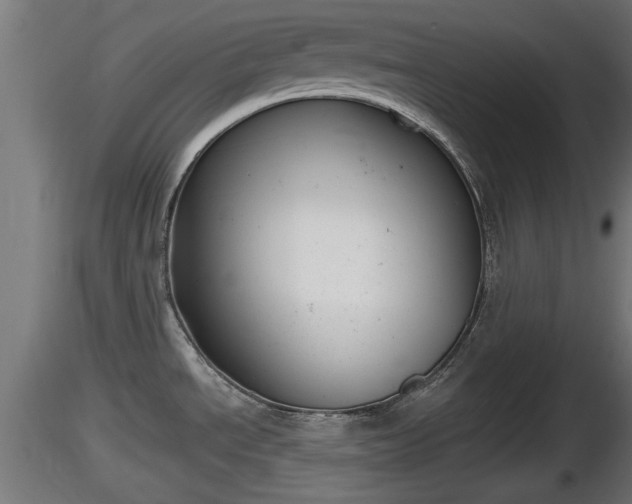 X0000116831534200912241216