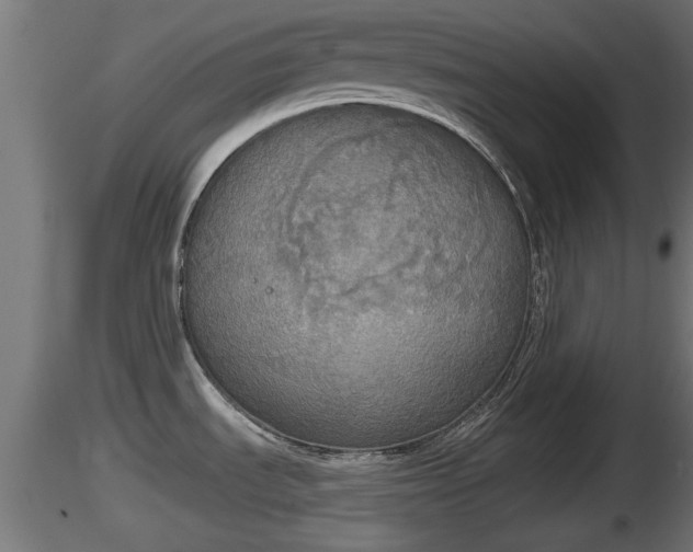 X0000116831535200912241216
