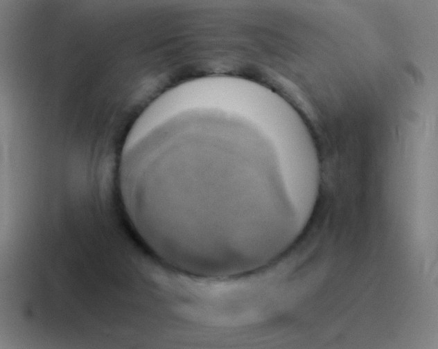 X0000116830018200912312044