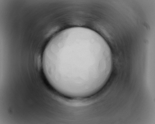 X0000116830020200912312044