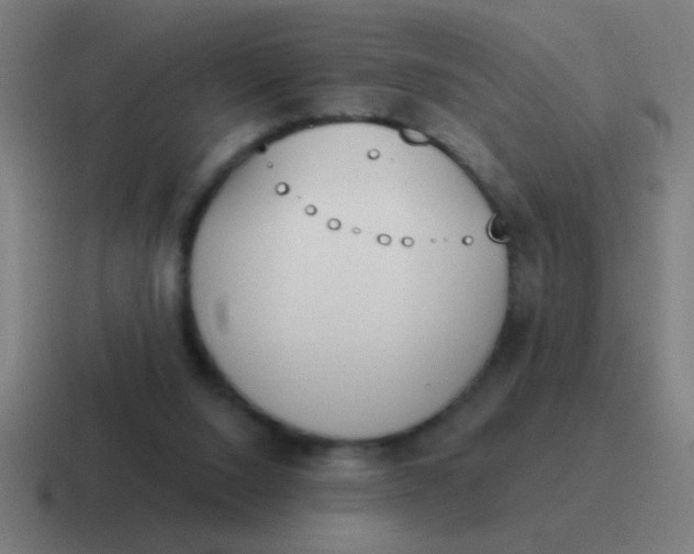 X0000116830064200912312043