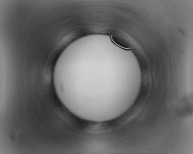 X0000116830072200912312043