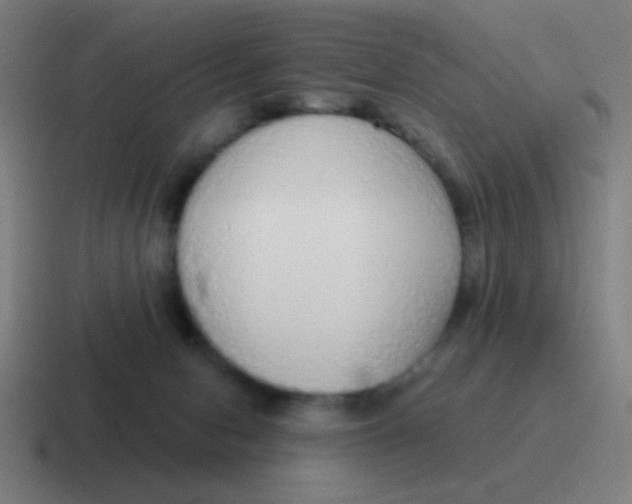 X0000116830078200912312043