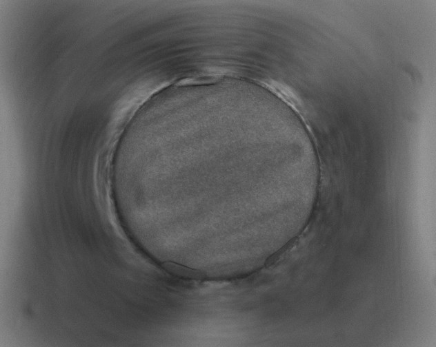X0000116830097200912312043