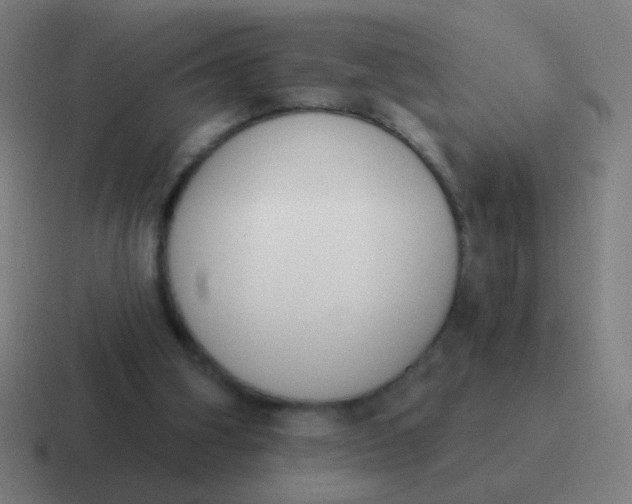 X0000116830106200912312043