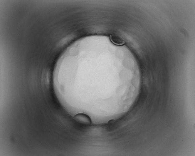 X0000116830115200912312043