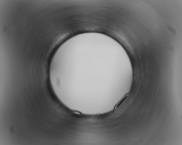 X0000116830116200912312043