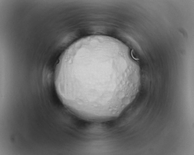 X0000116830123200912312042