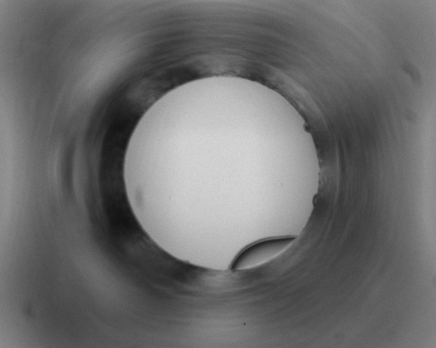 X0000116830142200912312042